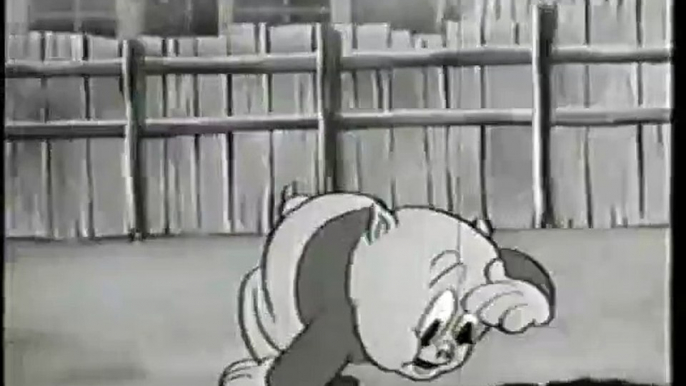 Classic Video Library Porky Pig Volume 9 1989 VHS (Full Tape)