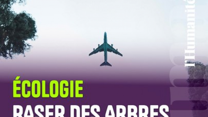 Raser des arbres pour faire voler des avions