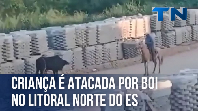 Criança é atacada por boi no Litoral Norte do Espírito Santo