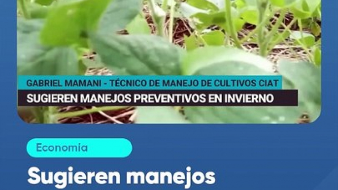 Sugieren manejos preventivos en campaña de invierno