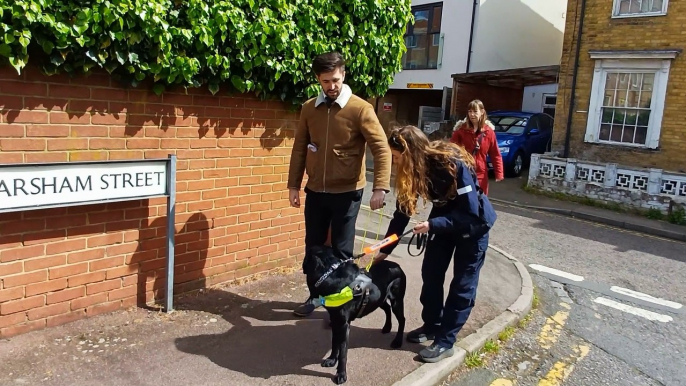 Maidstone guide dog trainer Hettie Hollister discusses what it takes to be a guide dog trainer