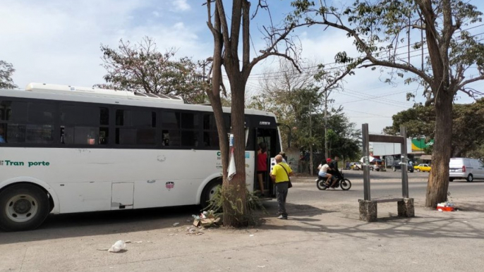 Exigen reparación y limpieza en parada de camión en Ixtapa