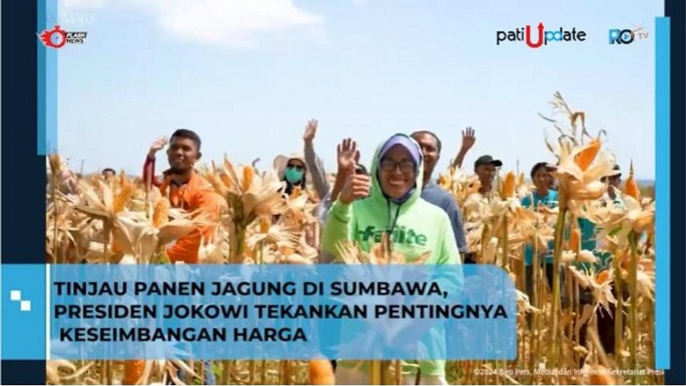 Pesan Presiden Jokowi Setelah Meninjau Panen Jagung di Sumbawa