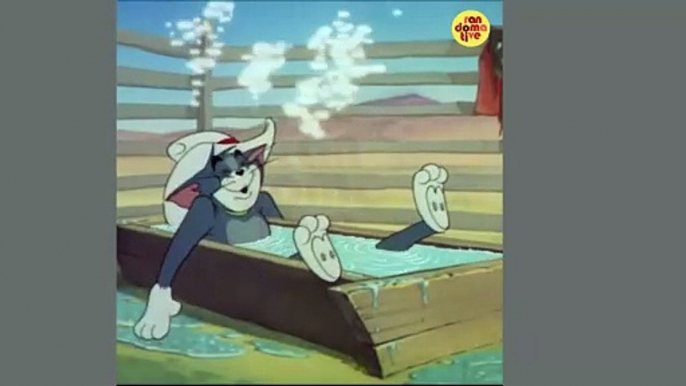 Tom and Jerry | Tom & Jerry | Cartoon Movies For Kids | Cartoon for All Ages | Cartoons for Eveyone | Cartoons |