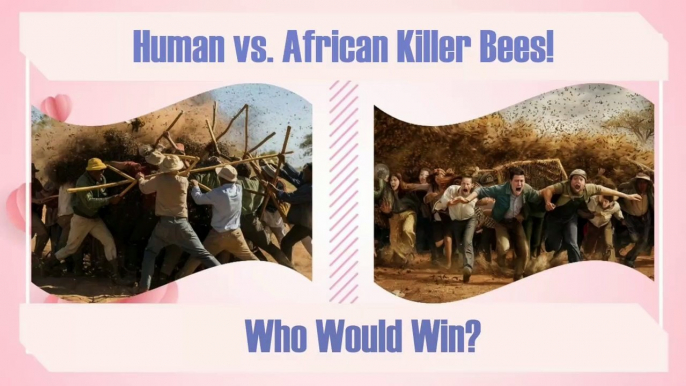 Deadly African Bees vs Humans: Who Will Prevail_