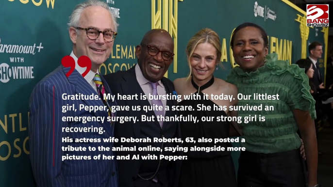 Al Roker Pauses 'Today' Show Duties for Pet's Emergency Surgery.