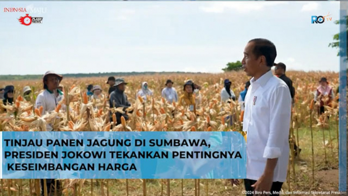 Presiden Jokowi Tinjau Panen Jagung di Sumbawa Tekankan keseimbangan harga