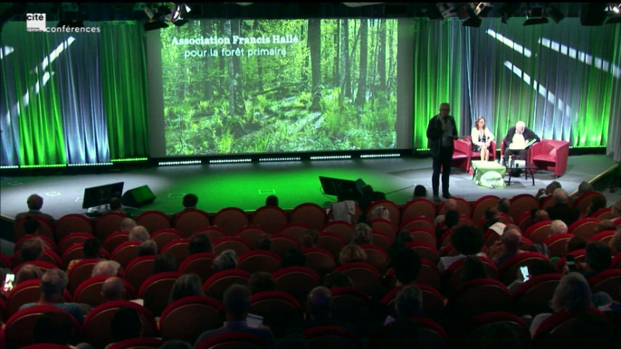 Qu'est-ce qu'une forêt primaire ?