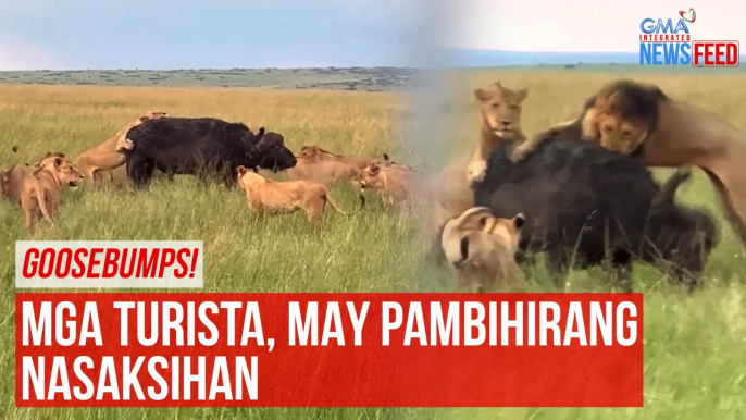 Goosebumps! Mga turista, may pambihirang nasaksihan | GMA Integrated Newsfeed