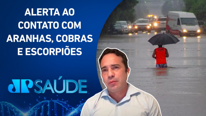 Enchentes no RS: Risco de acidentes com animais peçonhentos aumenta | JP SAÚDE