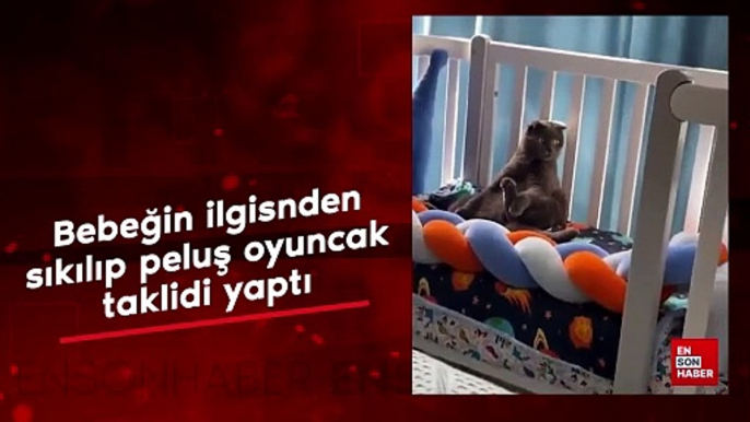 Peluş oyuncak taklidi yapan kedi