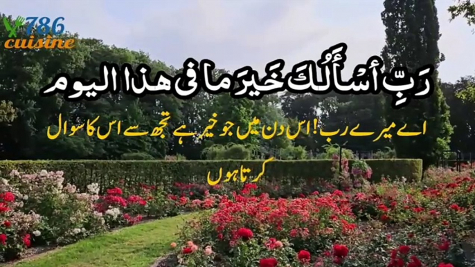 morning dua | Morning Dua With Urdu Translation | subha ki dua | dua for blessings | dua