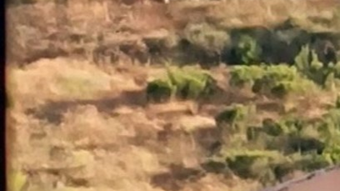 aparecen #humanoides en el cerro de los misterios #vigilia #ovni #ufo #uap #alien #extraterrestre