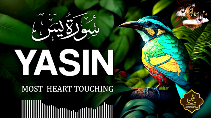 Surah Yasin (Yaseen) سورة يس | Relaxing Soothing Healing Quran Recitation | Quran Tilawat Zikr Allah