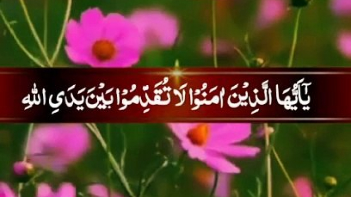 Quran Recitation - Beautiful Quran Recitation Emotional