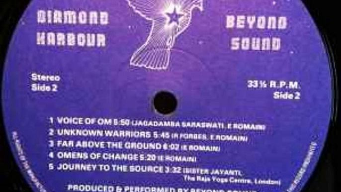 Beyond Sound – Diamond Harbour :  Rock, Pop, Folk, World, & Country, Folk, Psychedelic Rock 1982