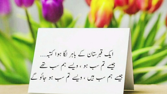 aqwal e zareen_ Urdu quotes Whatsapp status Dpz _best Urdu quotes_Daily Urdu inspiration quotes