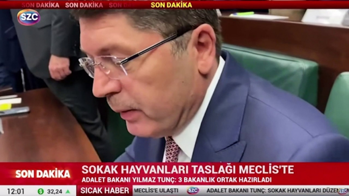 Sokak hayvanları taslağı Meclis'te! Tunç: Hayvanları koruma kararlılığımız sürüyor