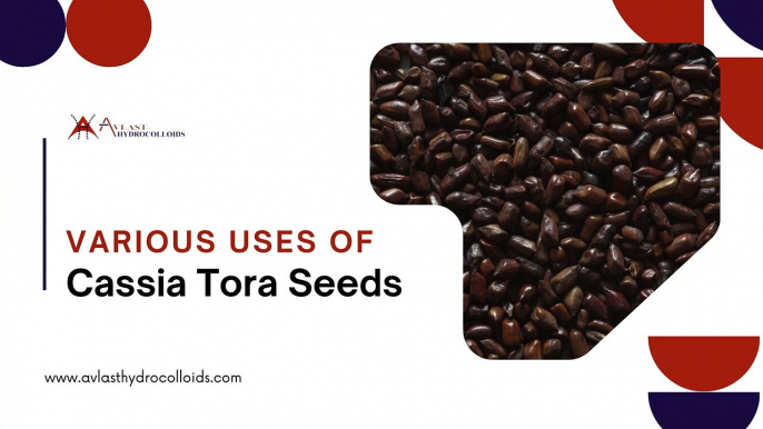 Various Uses of Cassia Seeds