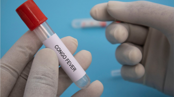 Krim-Kongo-Fieber: Was steckt hinter dem tödlichen Virus, an dem schon zwei Menschen gestorben sind?