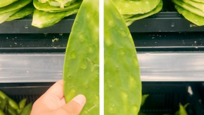 Frutas y verduras adentro o afuera del refrigerador II