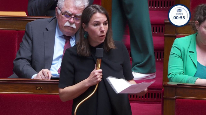 "Vous démontrez que vous ne comprenez profondément pas l'écologie" dénonce Julie Laernoes, députée Écologiste-Nupes