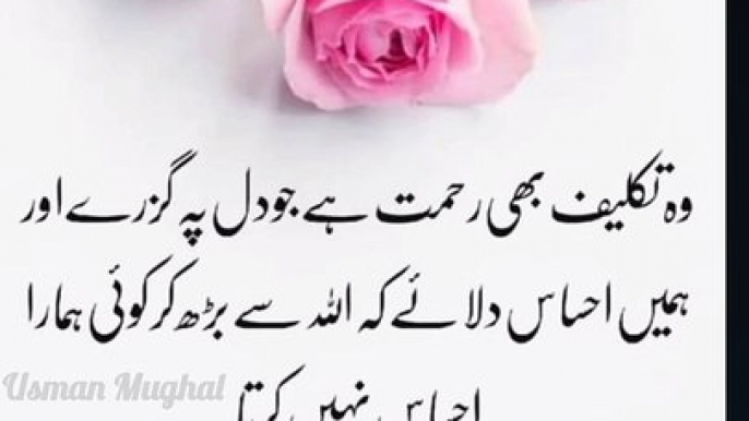 Urdu Islamic Quotes__Urdu Quotes__Shorts Video__Urdu Poetry__Viral#viral #shorts  #islamicstatus