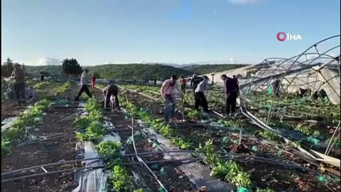 Mersin’de hortum seraları yıktı geçti