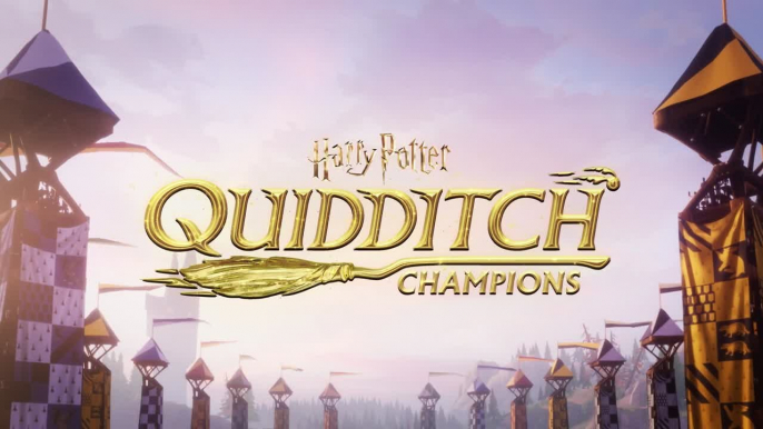 Harry Potter Quidditch Champions