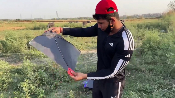 I Am Looted Kites In Ground | Kite Catching | Kites Vlog |