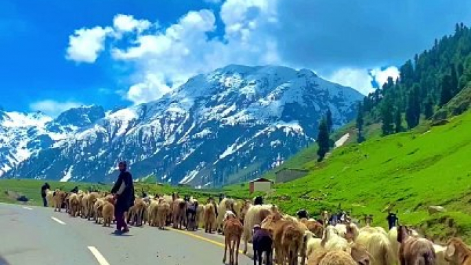 Naran Valley Khyber Pakhtunkhwa------_._._._._._.__naranvalley _kaghanvalley _babusartop _hunza _gilgitbaltistan _skardu _deosai _explorepakistan _beautifulpakistan _northpakistan _beautifuldestinations