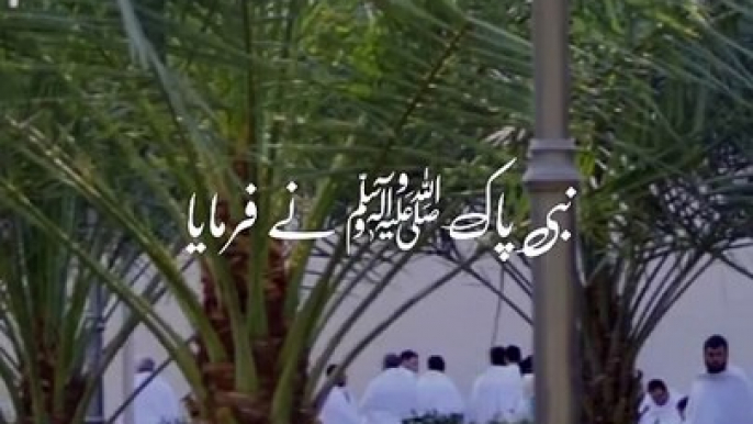 Nabi Pak (S.A.W) ne farmaya | Islamic video | Islamic bayan #saba.fayyaz0322