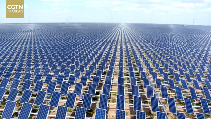 "Tournesol" dans le désert - La centrale électrique complémentaire agricole et photovoltaïque de Yinchuan écrit un nouveau chapitre de la civilisation écologique