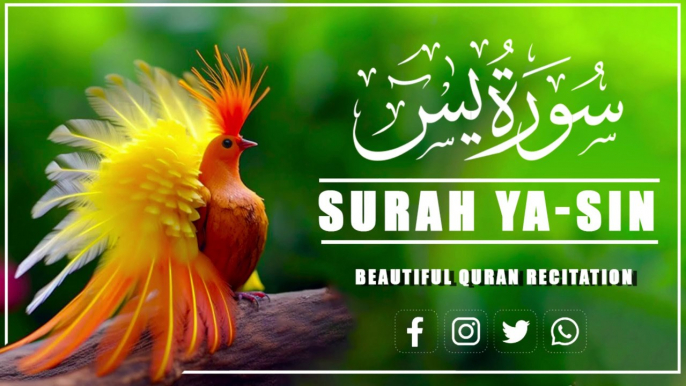 Surah Yaseen (Yasin) | سورة يس | Wonderful Relaxing Heart Touching Voice #yaseen