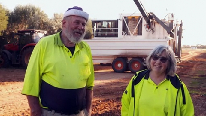 Retirees take up farm work to become a much-loved part of Australia’s seasonal workforce