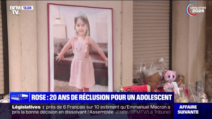 Meurtre de Rose dans les Vosges: l'adolescent condamné à 20 ans de réclusion