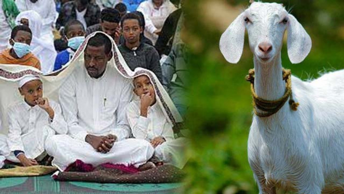 Eid Ul Adha 2024:Qurbani Kis Per Wajib Hai | Qurbani Kin Logon Per Farz Hai | Boldsky