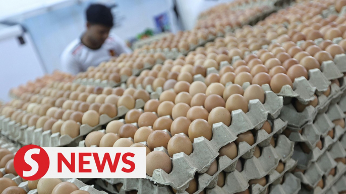 Egg prices reduced by three sen nationwide