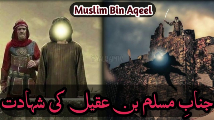 Hazrat muslim bin aqeel ki shahadat | 9 zilhaj shahadat hazrat muslim bin aqeel AS | Ya Alqaim Tv