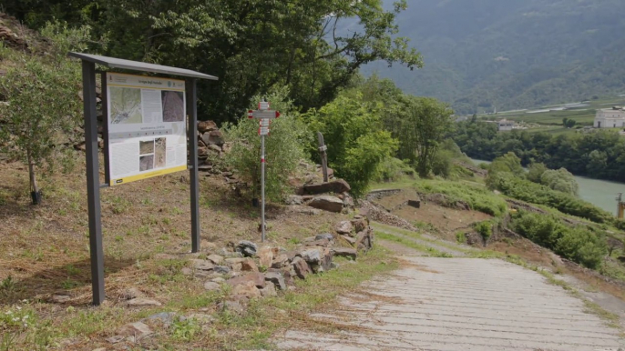 Nel cuore della Valtellina il primo "Sentiero dei campioni"