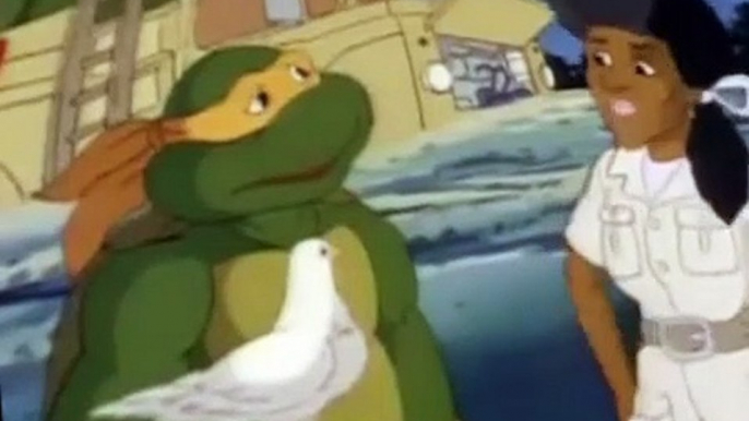 Teenage Mutant Ninja Turtles (1987) S04 E029 What's Michelangelo Good For