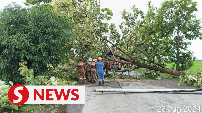 55 houses damaged by storms in Perlis, Kedah