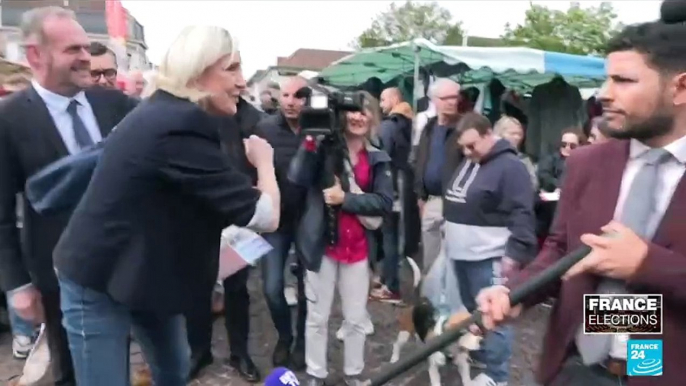 France's far-right leader Marine Le Pen softens her image ahead of legislative elections