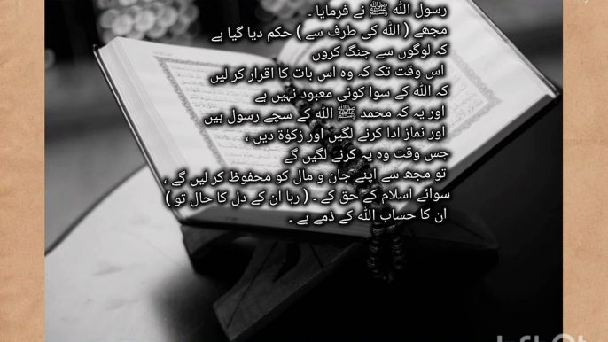 1. "Illuminating Faith" 2. "The Guided Path" 3. "Islamic Insights" 4. "Muslim Matters" 5. "The Divine Connection" 6. "Faith Fusion" 7. "The Islamic Hub"