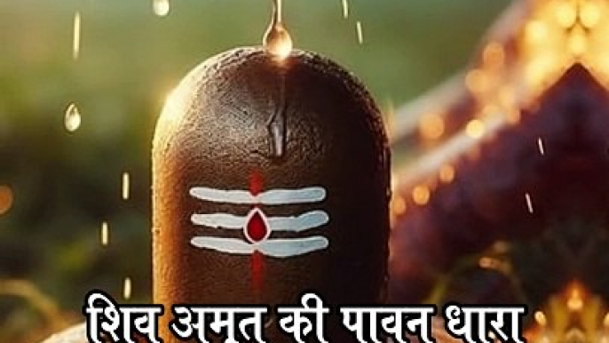 शिव अमृत की पावन धारा | Har Har Shambhu To Bolo | Mahadev Status Video | #mahadev #shiv #shorts