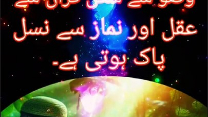 Hazrat Ali Quotes islamic sifaat studio  on dailymotion