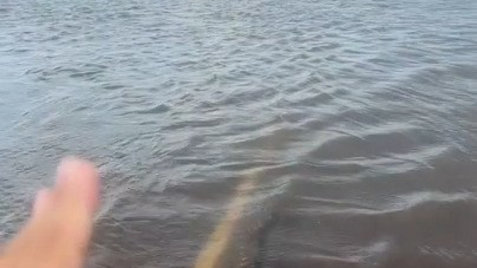 Woman's Road Back Home Heavily Flooded in South Dakota, USA