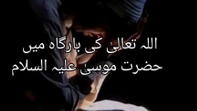 Urdu Islamic Quotes | Urdu Quotes |ShortsVideo | Islamic Quotes ||Ana Fira Islamic Channel | Islamic Whatsapp Status | Ubqari | Viral