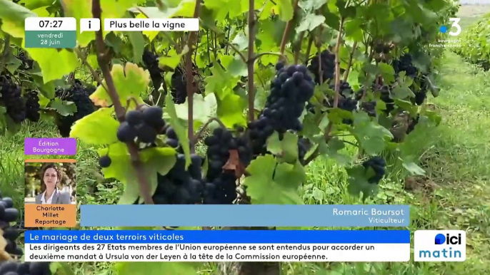 28/06/2024 - Le 6/9 de France Bleu Bourgogne en vidéo