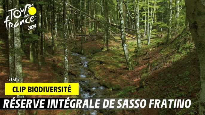 Tour de France de la biodiversité - Etape 1 - #TDF2024